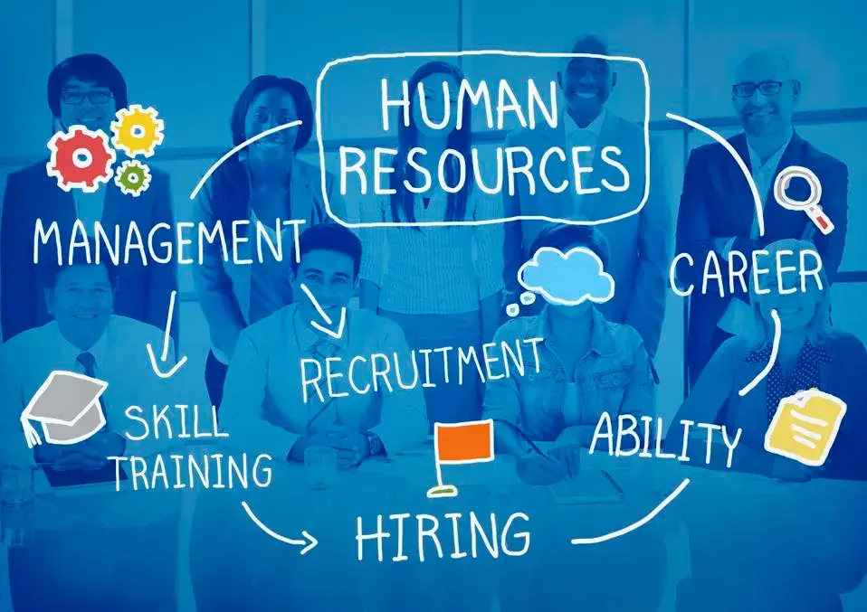 HR Strategic Planning and Job Analysis: Discussion Responses